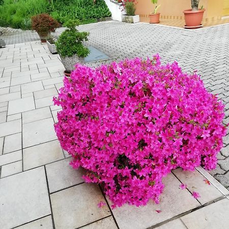 Alloggio Cristina Valdobbiadene Dış mekan fotoğraf