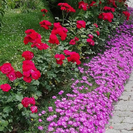 Alloggio Cristina Valdobbiadene Dış mekan fotoğraf