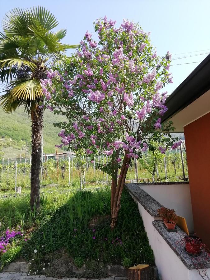 Alloggio Cristina Valdobbiadene Dış mekan fotoğraf
