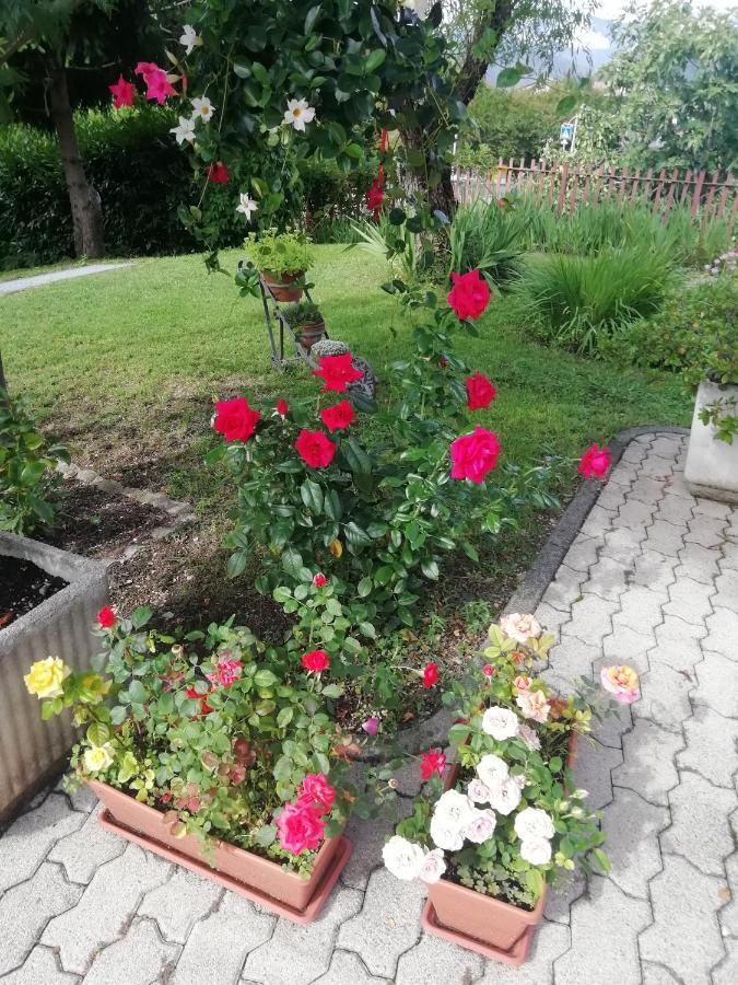 Alloggio Cristina Valdobbiadene Dış mekan fotoğraf
