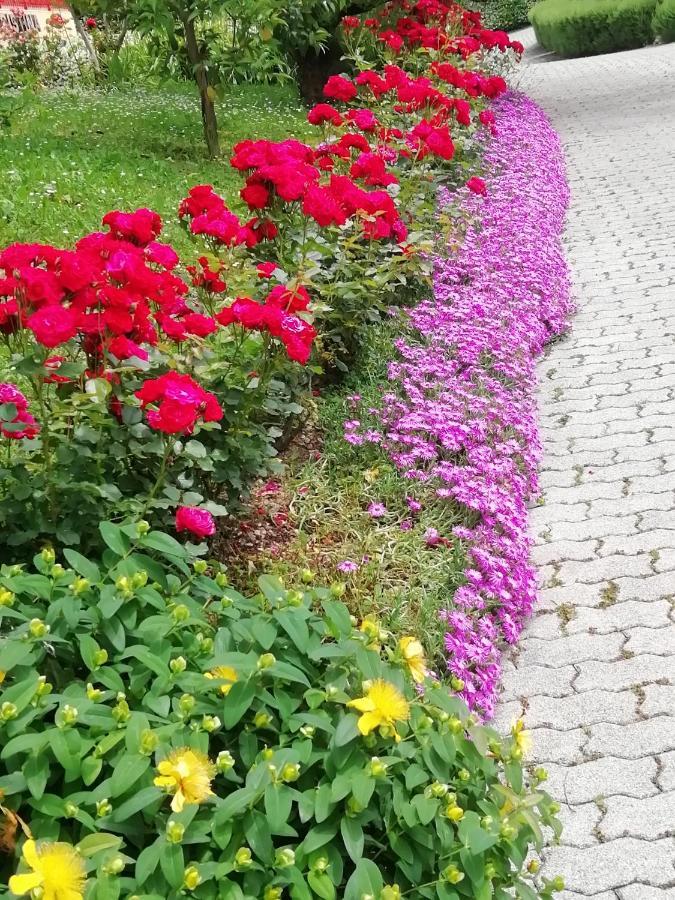 Alloggio Cristina Valdobbiadene Dış mekan fotoğraf
