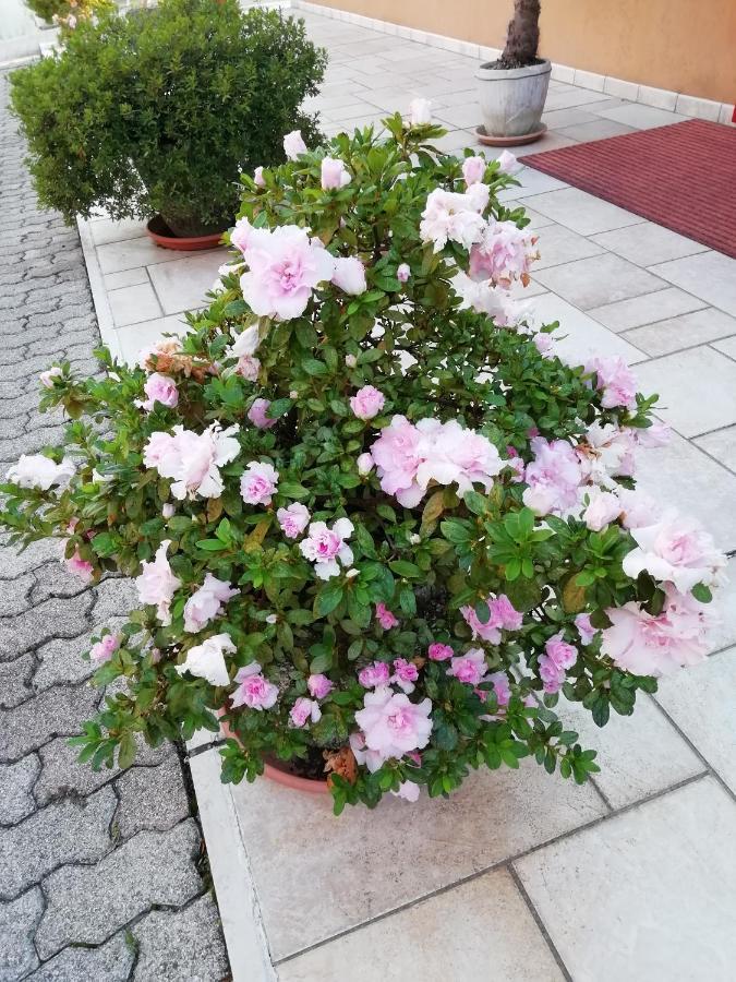 Alloggio Cristina Valdobbiadene Dış mekan fotoğraf