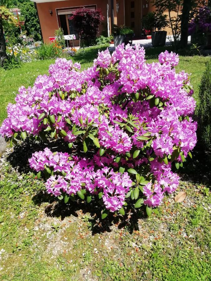 Alloggio Cristina Valdobbiadene Dış mekan fotoğraf