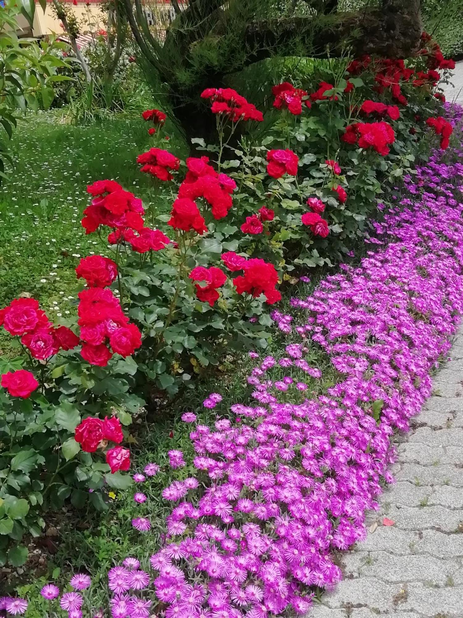 Alloggio Cristina Valdobbiadene Dış mekan fotoğraf